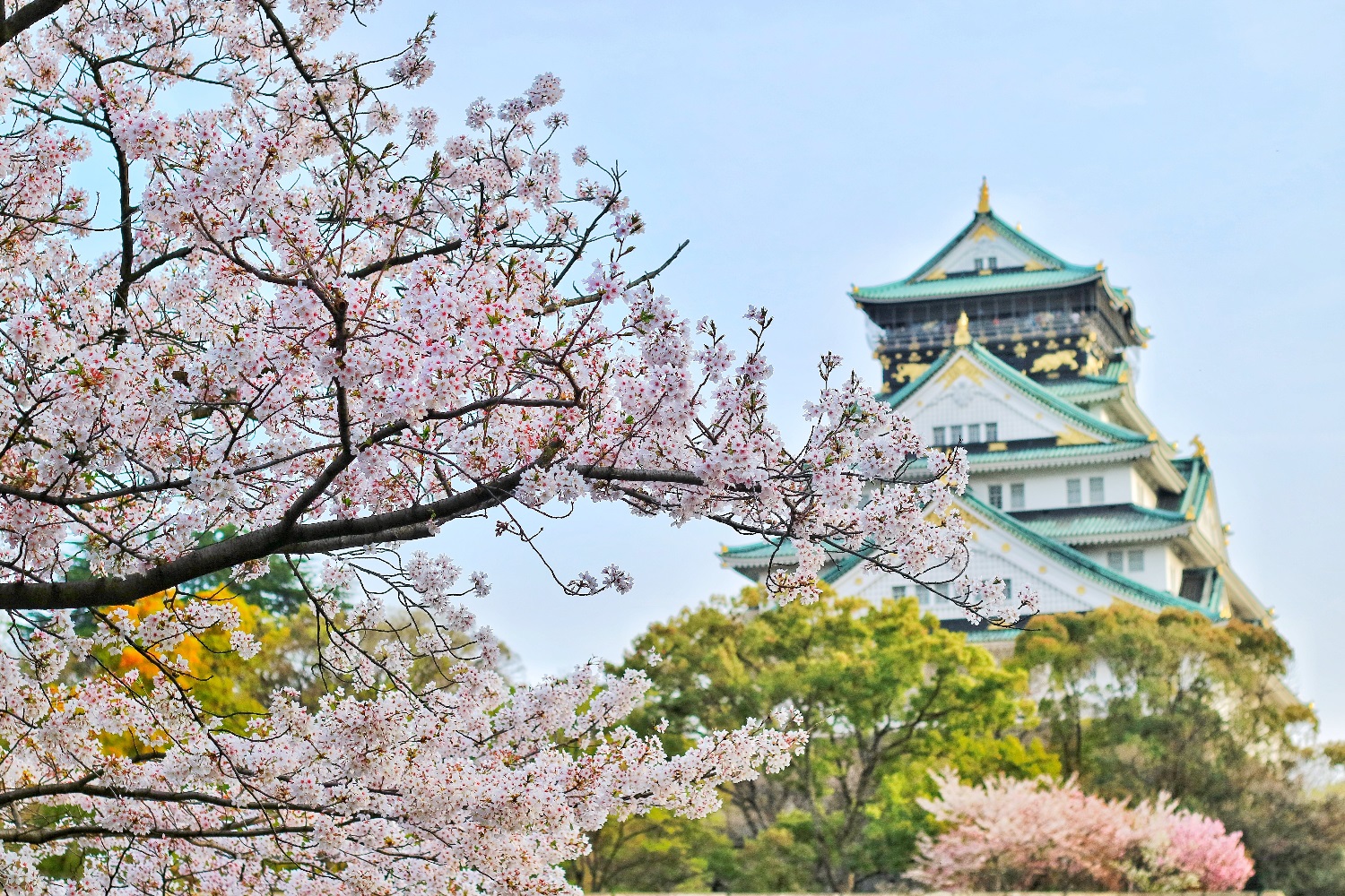 Tokyo is a city of harmony