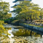 Battambang, unveiling Cambodia’s hidden gem