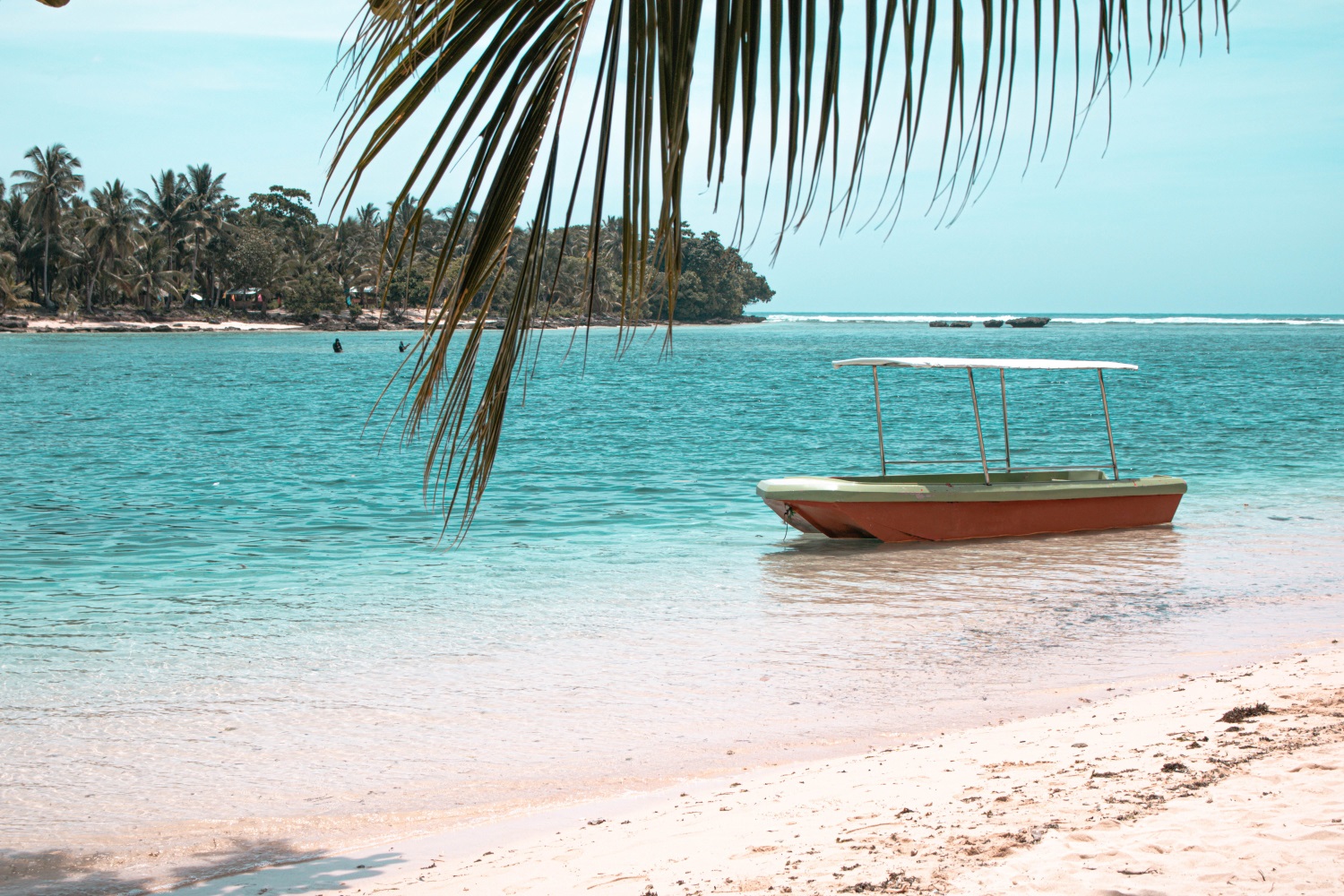 Davao, a Tropical Paradise with Rich Culture and Natural Wonders